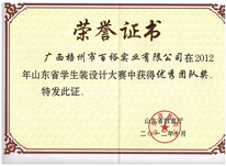 山東省學生裝設計大賽優(yōu)秀團隊獎